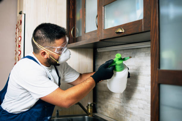 Best Commercial Pest Control Services  in Toledo, IL