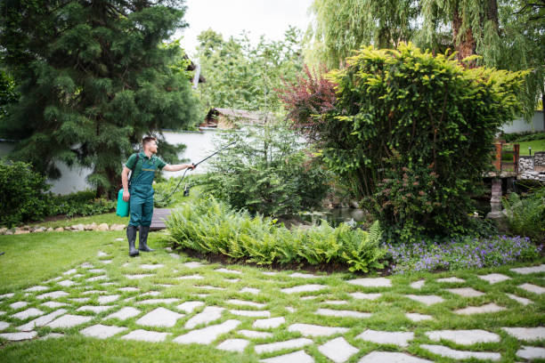 Best Pest Prevention Services  in Toledo, IL