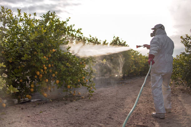 Best Best Pest Control Companies  in Toledo, IL