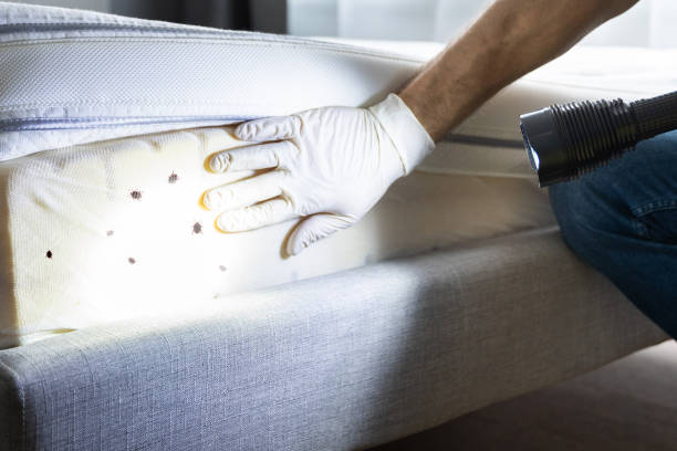 Best Pest Control for Restaurants  in Toledo, IL