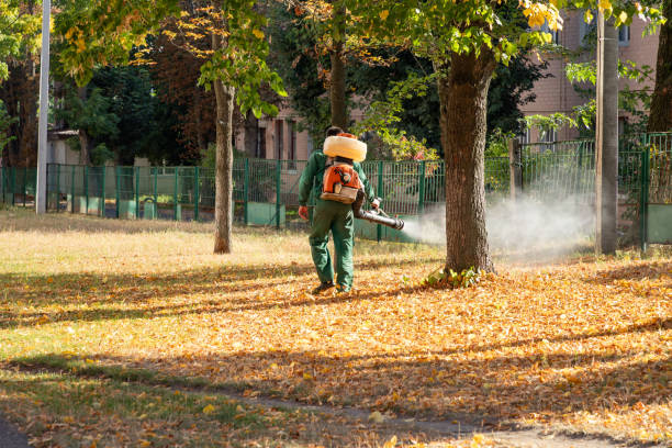 Pest Control for Restaurants in Toledo, IL