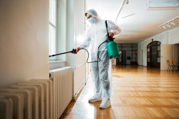 Best Mosquito Control Services  in Toledo, IL
