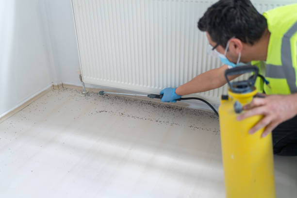 Best Rat Extermination Near Me  in Toledo, IL