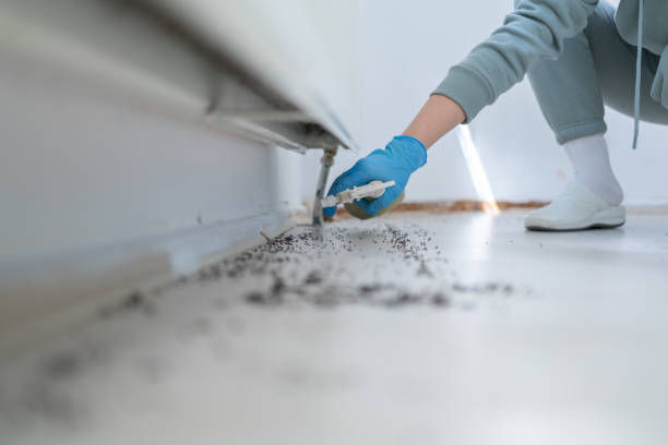Best Affordable Pest Control Services  in Toledo, IL