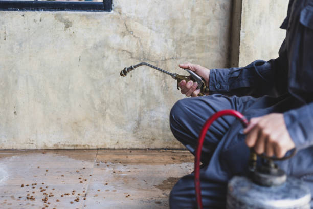 Best Best Pest Control Companies  in Toledo, IL