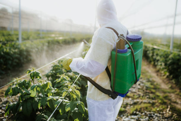 Best Ant Control Services  in Toledo, IL